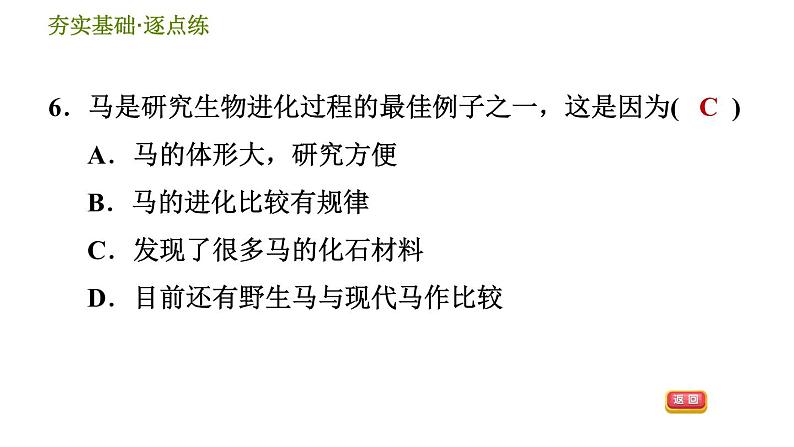 浙教版九年级下册科学课件 第1章 1.4.1 化石告诉我们什么第8页