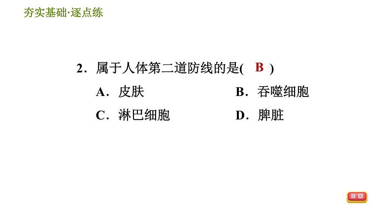 免疫与健康PPT课件免费下载04