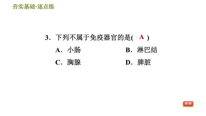 免疫与健康PPT课件免费下载05