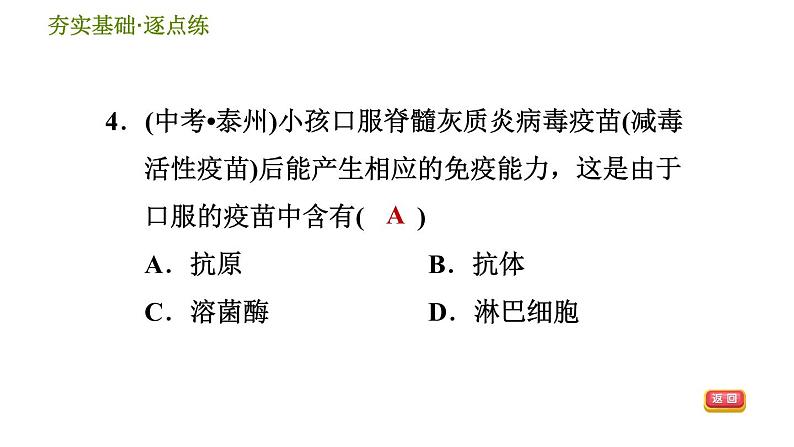 免疫与健康PPT课件免费下载06