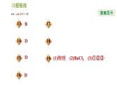 华师版九年级下册科学课件 第3章 3.1.2 单质、氧化物、酸(碱)之间的转化