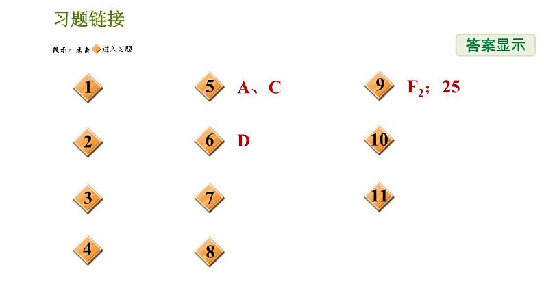 华师版九年级下册科学课件 中考题型专训02