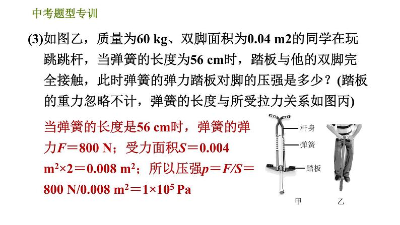 华师版九年级下册科学课件 中考题型专训06