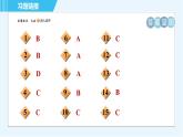 浙教版九年级下册科学 第2章 2.5生态系统的稳定性 习题课件