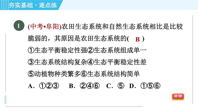 浙教版九年级下册科学 第2章 2.5生态系统的稳定性 习题课件第3页