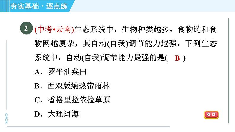 浙教版九年级下册科学 第2章 2.5生态系统的稳定性 习题课件第4页