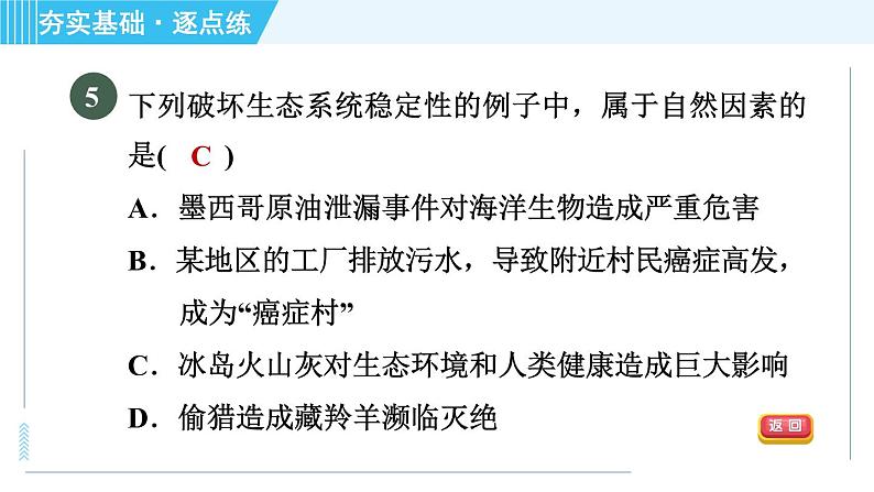 浙教版九年级下册科学 第2章 2.5生态系统的稳定性 习题课件第7页