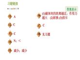 华师版八年级下册科学习题课件 第5章 5.1.1  磁体  磁极0