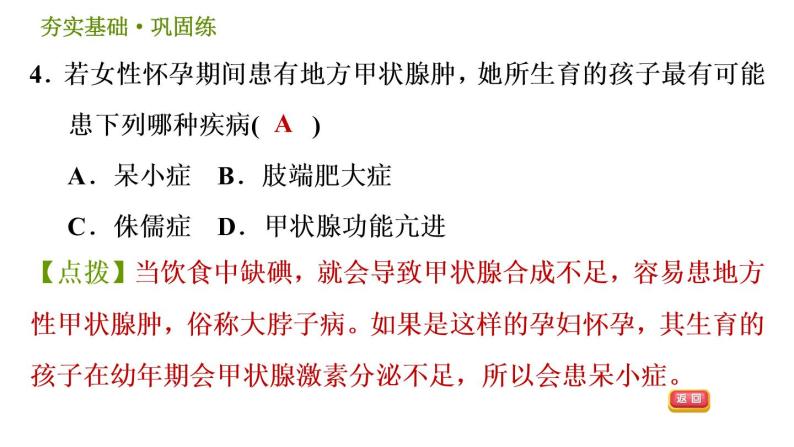 华师版八年级下册科学习题课件 第7章 7.3  人体生命活动的激素调节007