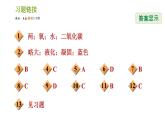 浙教版八年级下册科学习题课件 第3章 3.1.2 氧气的性质及氧化物