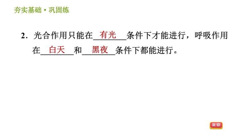 浙教版八年级下册科学习题课件 第3章 3.6.2 光合作用和呼吸作用的关系04