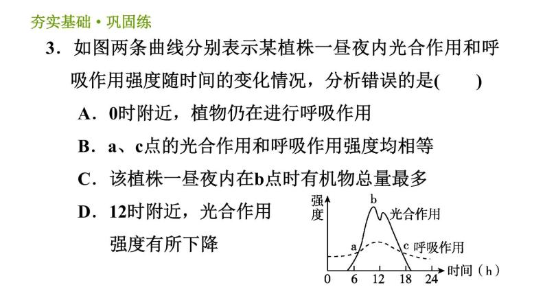 浙教版八年级下册科学习题课件 第3章 3.6.2 光合作用和呼吸作用的关系05