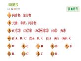 浙教版八年级下册科学习题课件 第2章 2.4 组成物质的元素