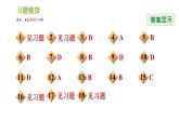 浙教版八年级下册科学习题课件 第4章 4.1 土壤的成分