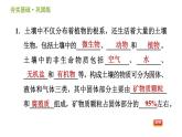 浙教版八年级下册科学习题课件 第4章 4.1 土壤的成分