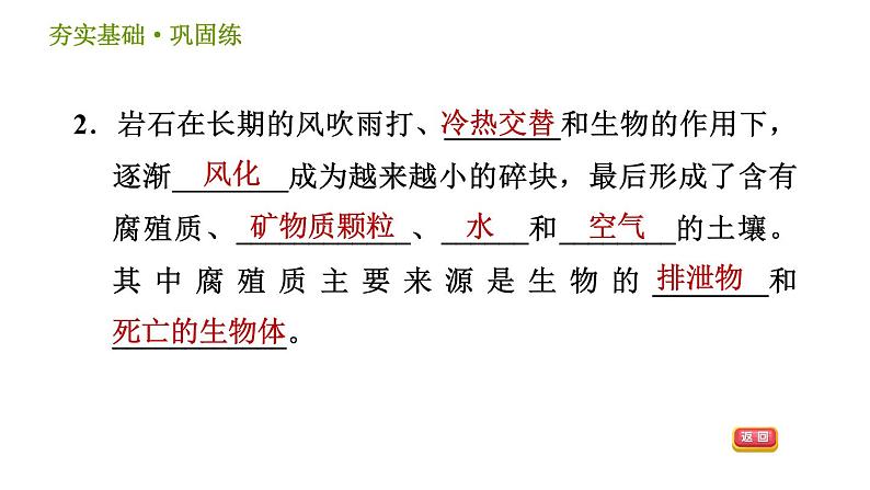 浙教版八年级下册科学习题课件 第4章 4.1 土壤的成分第4页