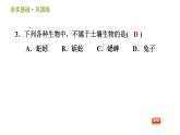 浙教版八年级下册科学习题课件 第4章 4.1 土壤的成分