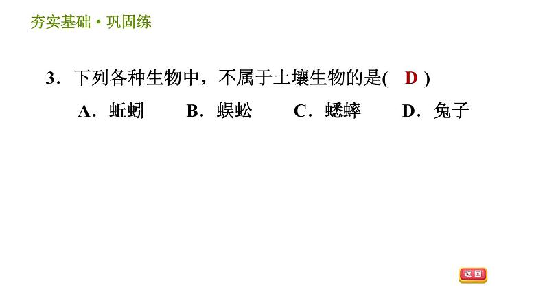 浙教版八年级下册科学习题课件 第4章 4.1 土壤的成分第5页