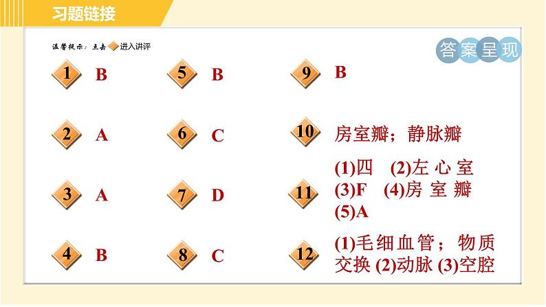 华师版B本八年级上册科学习题课件 第5章 5.3.1 血液循环系统的组成和结构02