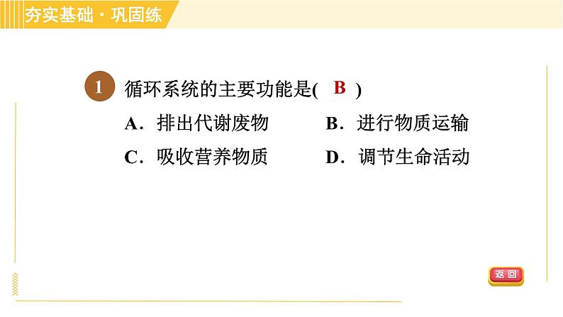 华师版B本八年级上册科学习题课件 第5章 5.3.1 血液循环系统的组成和结构04