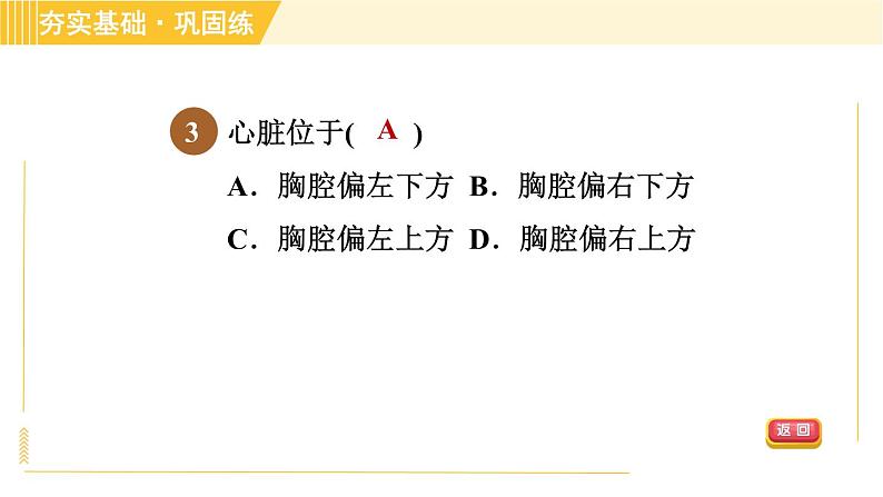 华师版B本八年级上册科学习题课件 第5章 5.3.1 血液循环系统的组成和结构06