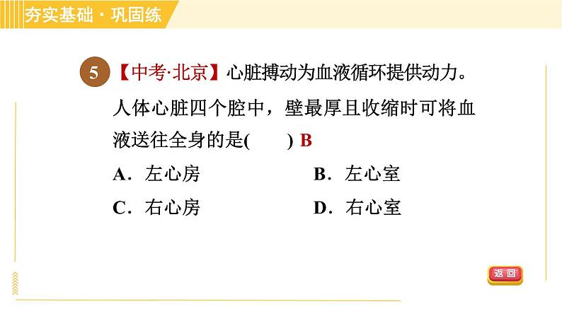 华师版B本八年级上册科学习题课件 第5章 5.3.1 血液循环系统的组成和结构08