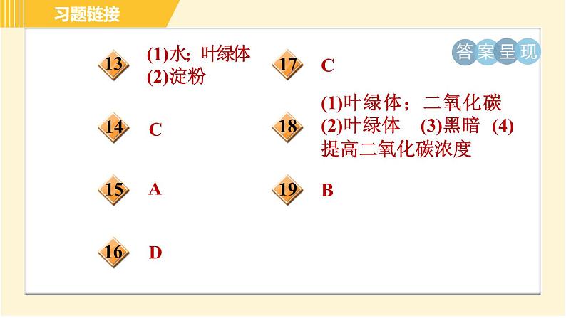 华师版八年级上册科学习题课件 第4章 4.4.1 有机物的制造—光合作用03