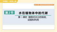 华师大版八年级上册2 水在植物体中的代谢习题课件ppt