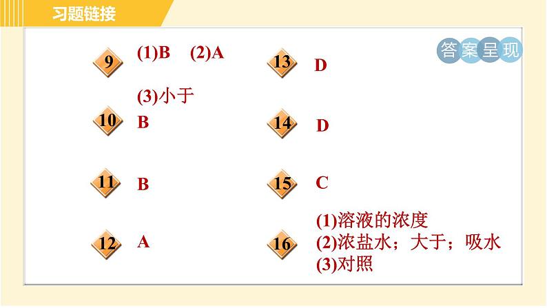 华师版八年级上册科学习题课件 第4章 4.2.1 植物对水分的吸收、运输和利用03