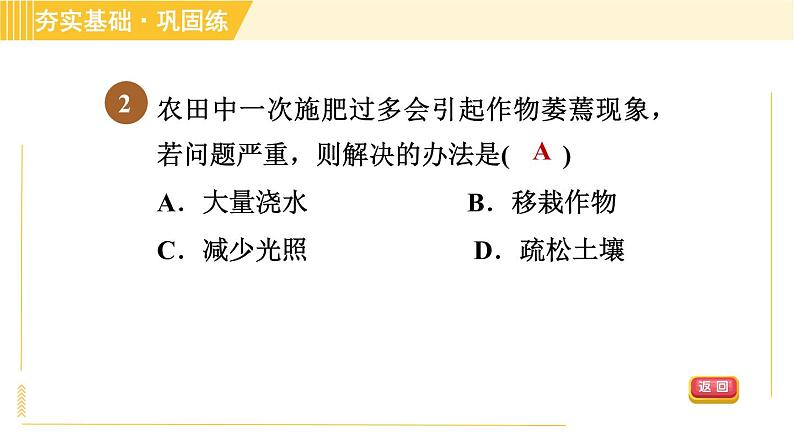 华师版八年级上册科学习题课件 第4章 4.2.1 植物对水分的吸收、运输和利用05