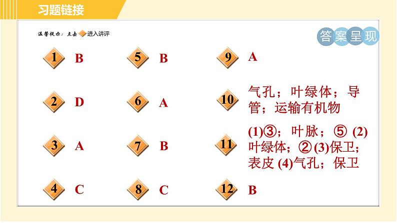 华师版八年级上册科学习题课件 第4章 4.1.3 叶的形态结构和功能第2页