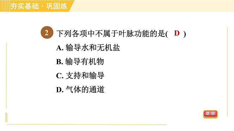 华师版八年级上册科学习题课件 第4章 4.1.3 叶的形态结构和功能第5页