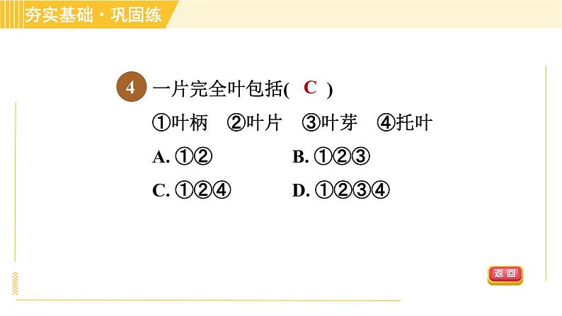 华师版八年级上册科学习题课件 第4章 4.1.3 叶的形态结构和功能第7页