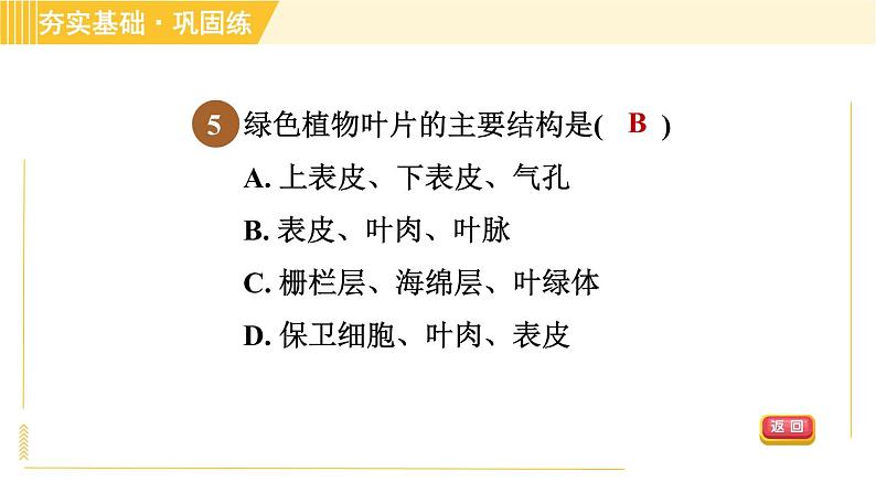 华师版八年级上册科学习题课件 第4章 4.1.3 叶的形态结构和功能第8页