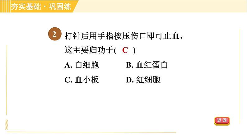 华师版八年级上册科学习题课件 第5章 5.3.2 血液和血液循环05