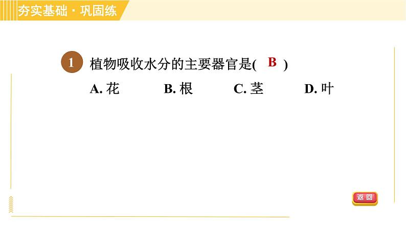 华师版八年级上册科学习题课件 第4章 4.1.1 绿色开花植物的营养器官第4页