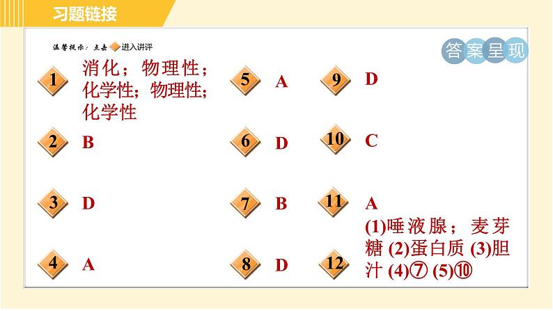 华师版B本八年级上册科学习题课件 第5章 5.1.1 消化系统的组成和口腔、胃内的消化02