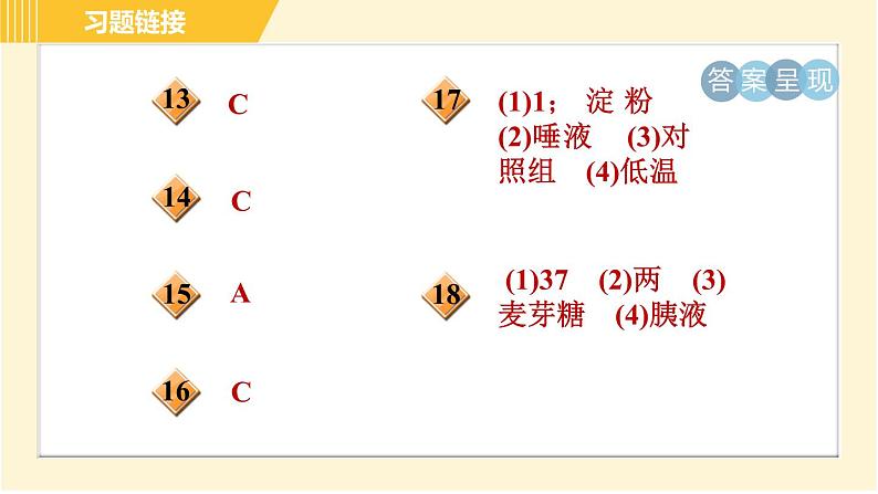 华师版B本八年级上册科学习题课件 第5章 5.1.1 消化系统的组成和口腔、胃内的消化03
