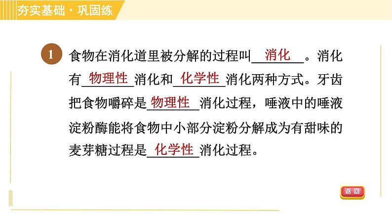 华师版B本八年级上册科学习题课件 第5章 5.1.1 消化系统的组成和口腔、胃内的消化04