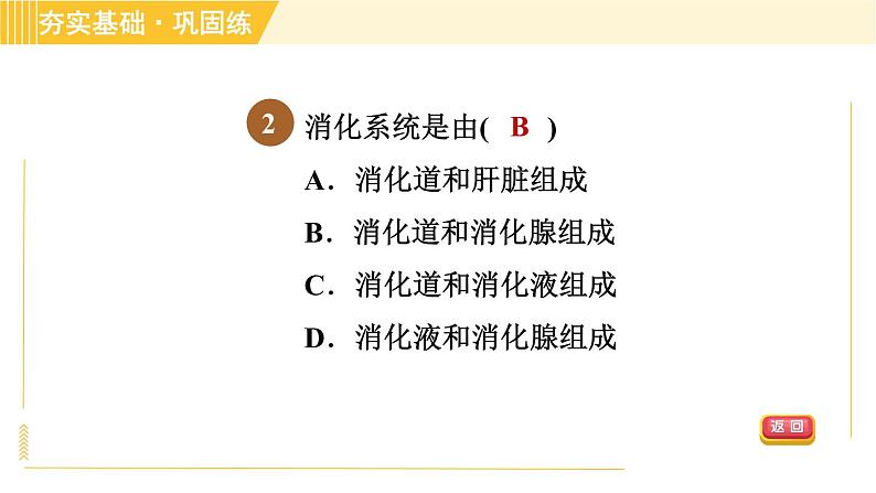 华师版B本八年级上册科学习题课件 第5章 5.1.1 消化系统的组成和口腔、胃内的消化05