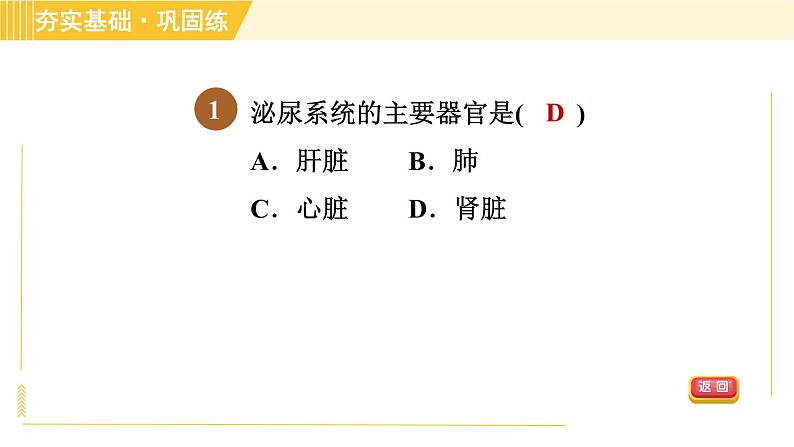 人体的排泄PPT课件免费下载04
