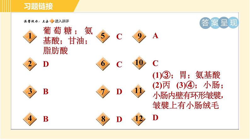 食物的消化和吸收PPT课件免费下载02