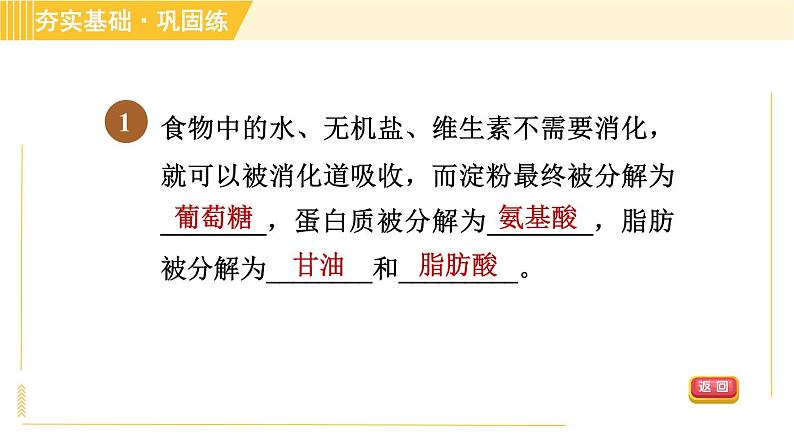 食物的消化和吸收PPT课件免费下载04