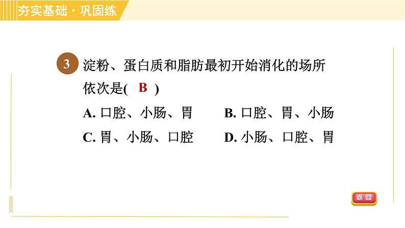 食物的消化和吸收PPT课件免费下载06