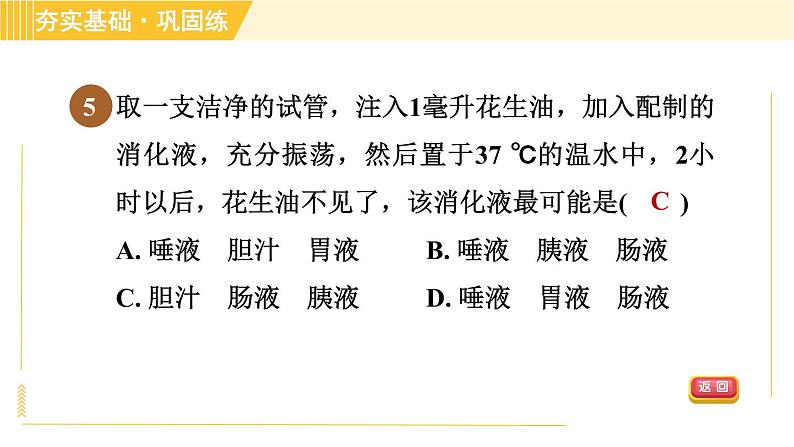 食物的消化和吸收PPT课件免费下载08