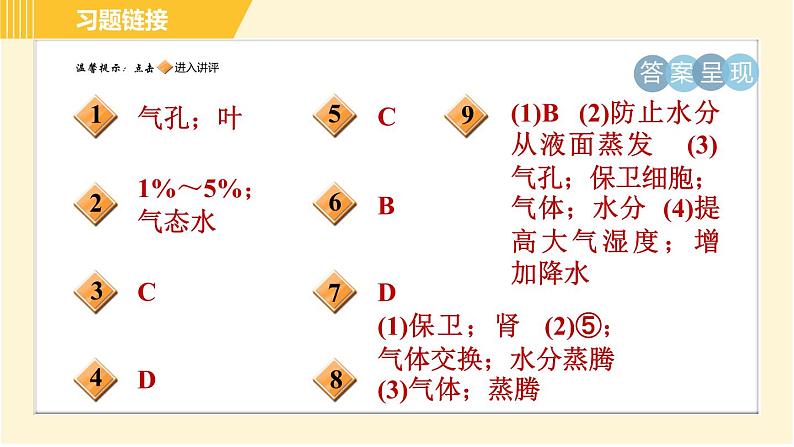 华师版八年级上册科学习题课件 第4章 4.2.2 水分的散失—蒸腾作用第2页
