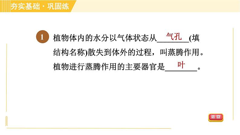 华师版八年级上册科学习题课件 第4章 4.2.2 水分的散失—蒸腾作用第4页