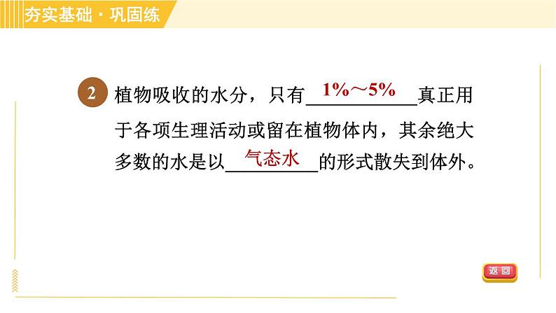 华师版八年级上册科学习题课件 第4章 4.2.2 水分的散失—蒸腾作用第5页