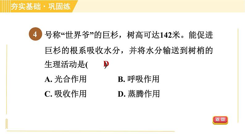 华师版八年级上册科学习题课件 第4章 4.2.2 水分的散失—蒸腾作用第7页