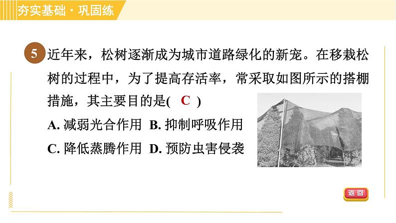 华师版八年级上册科学习题课件 第4章 4.2.2 水分的散失—蒸腾作用第8页